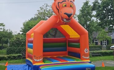 Artiesten en acts
