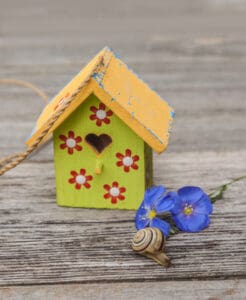 Kleurrijk vogelhuisje met bloemen en schelp op houten ondergrond.