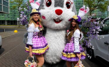 Artiesten en acts