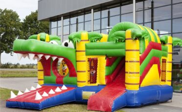 Artiesten en acts