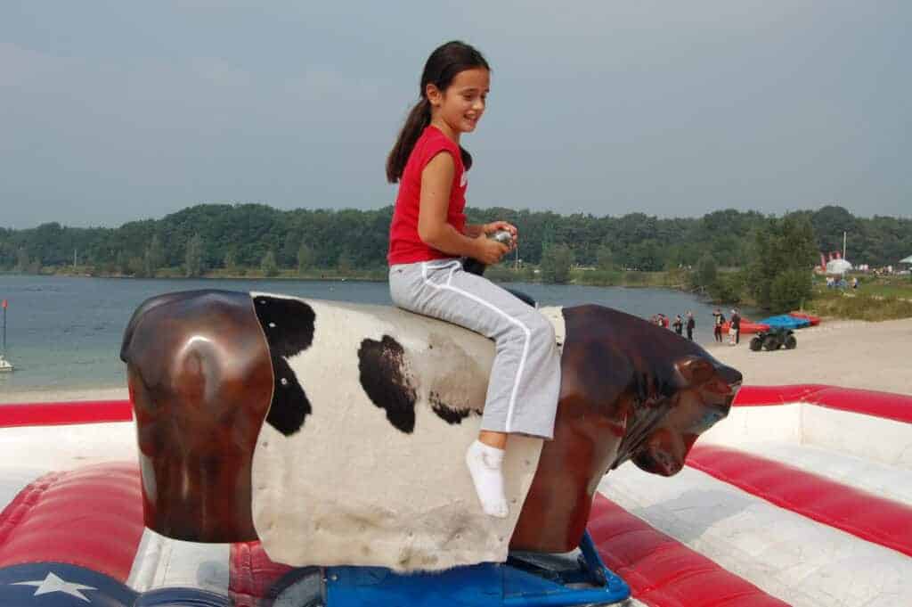 Durf jij de uitdaging aan op deze rodeostier.